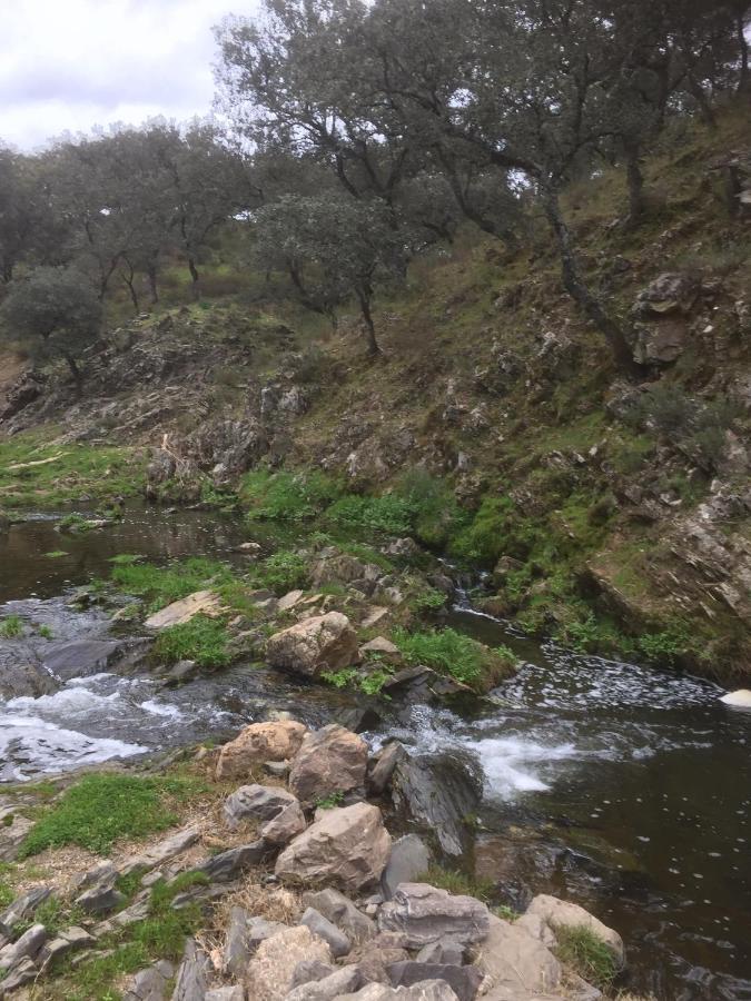 Casa Rural Quejigo Con Piscina ซานตาโอลาญา เดล กาลา ภายนอก รูปภาพ