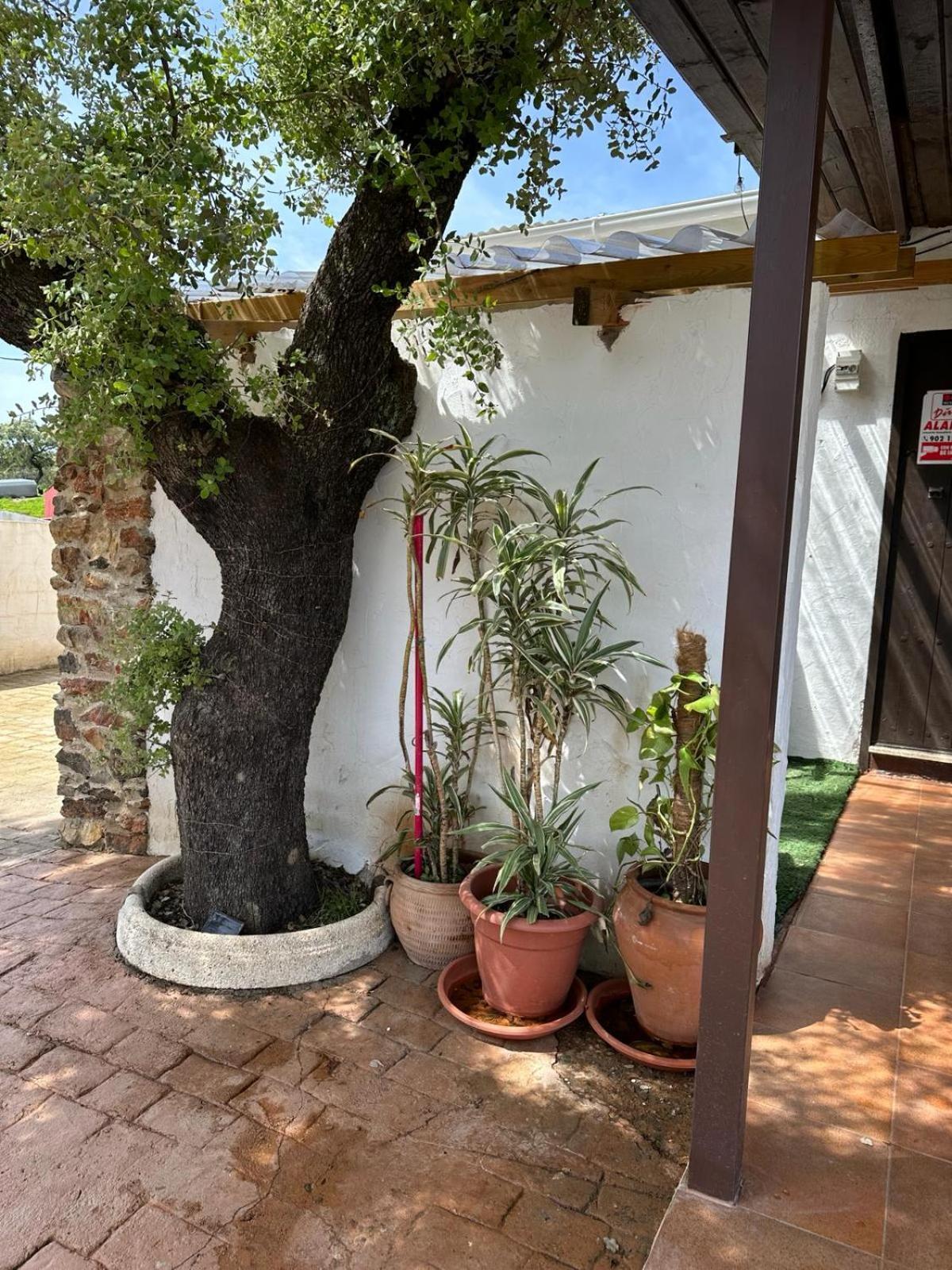 Casa Rural Quejigo Con Piscina ซานตาโอลาญา เดล กาลา ภายนอก รูปภาพ